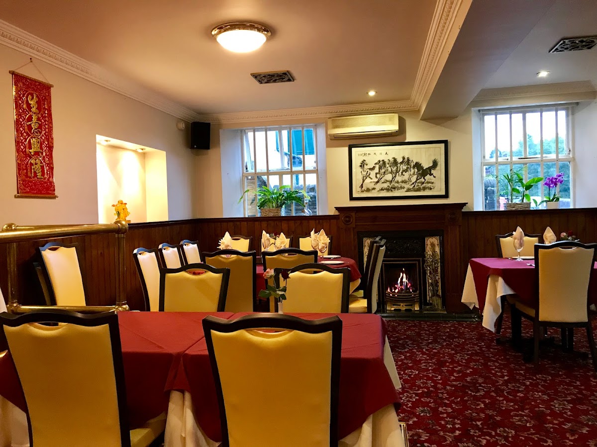 Maple Tree In Marple Bridge